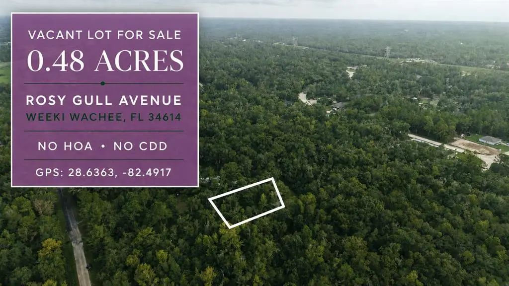 14186 Rosy Gull Avenue, WEEKI WACHEE