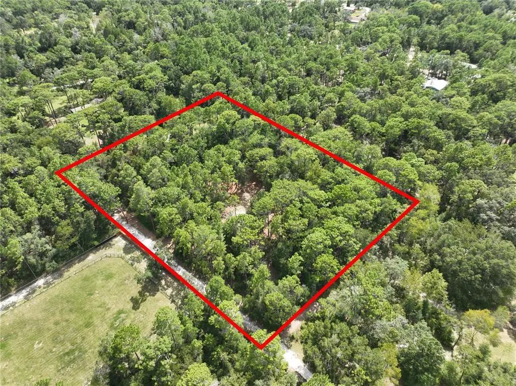 Virts Avenue, BROOKSVILLE