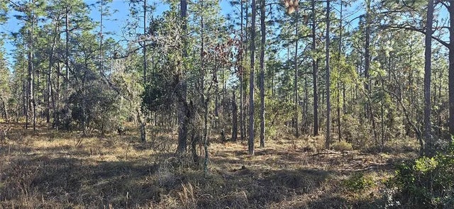 Lot 13 Nw Water Oak Avenue, DUNNELLON