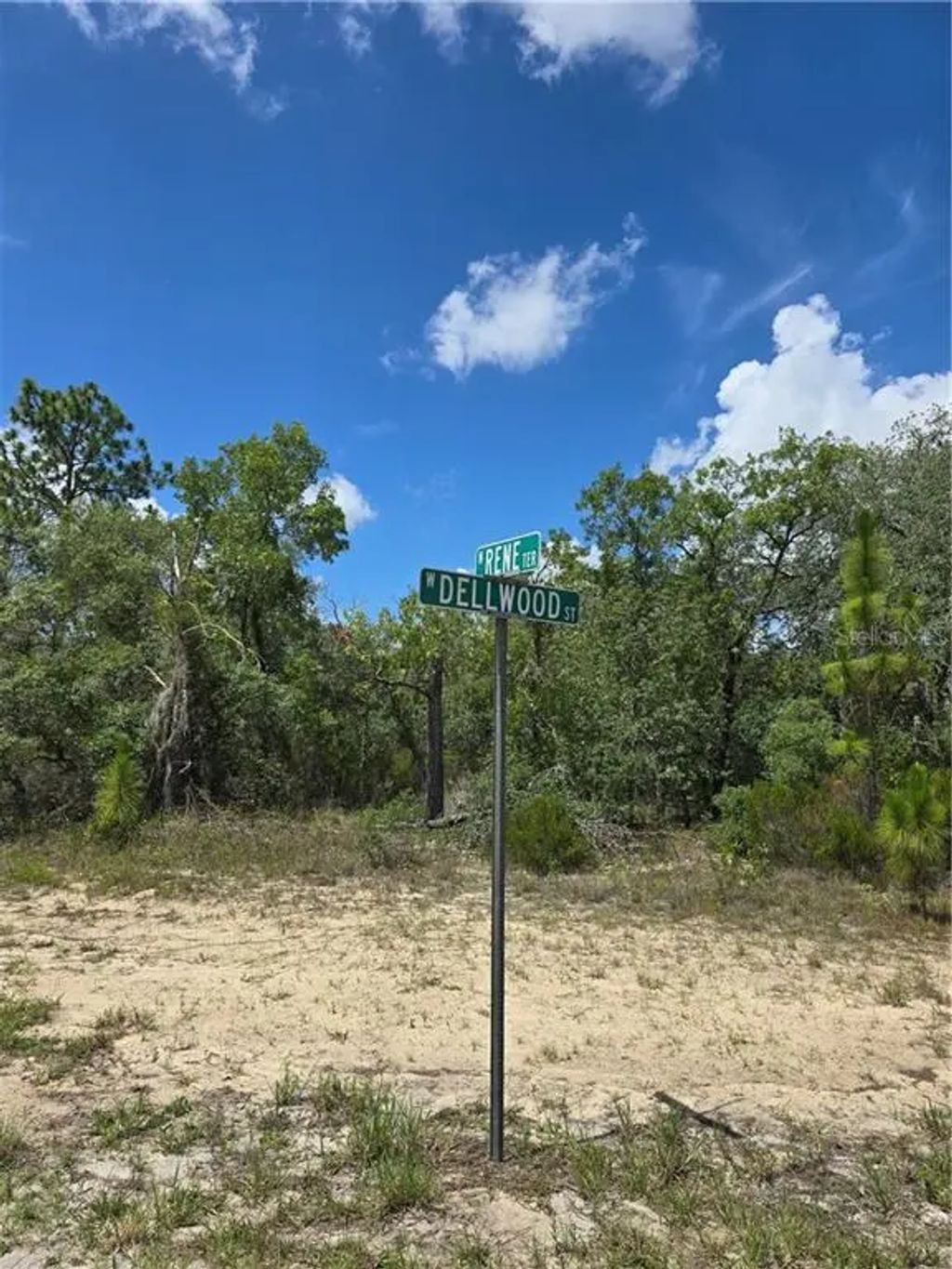 2942 W Dellwood Street, Dunnellon