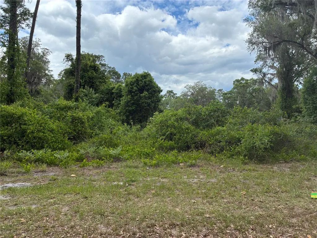 Se 87 Street, OCKLAWAHA