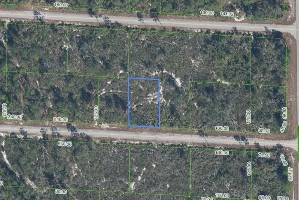 3509 Spoonbill Avenue, LAKE PLACID