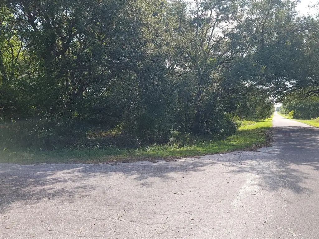 Lot 20 Se Fisher Lane Pass, OCKLAWAHA