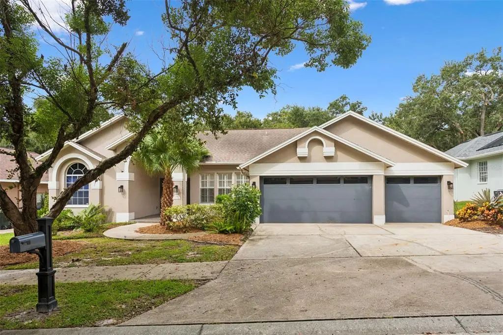 1707 La Forest Avenue, SAFETY HARBOR