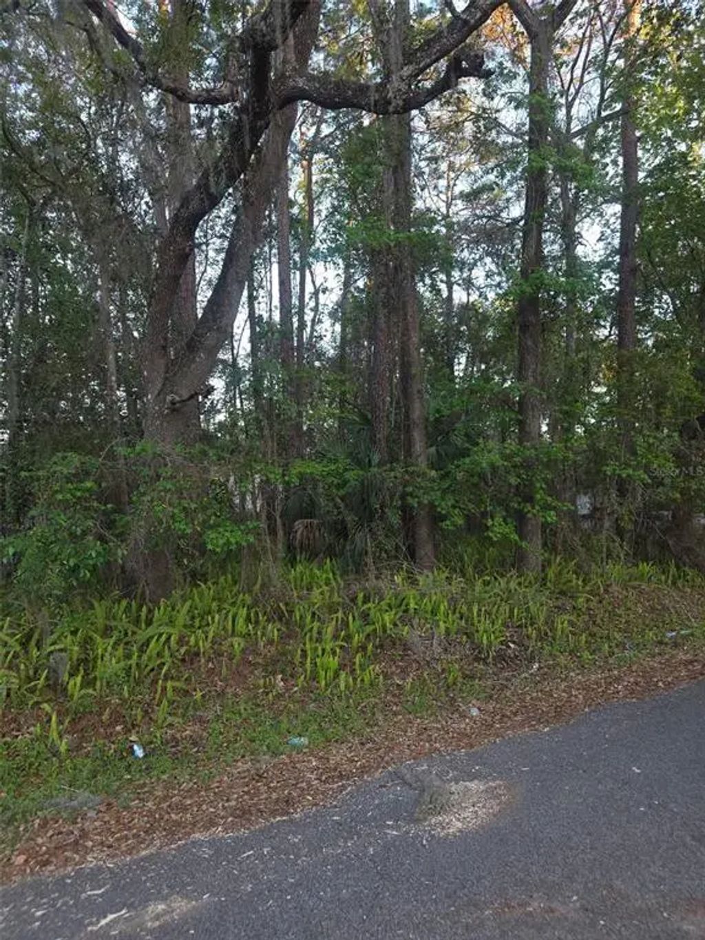 Bethune Street, BROOKSVILLE