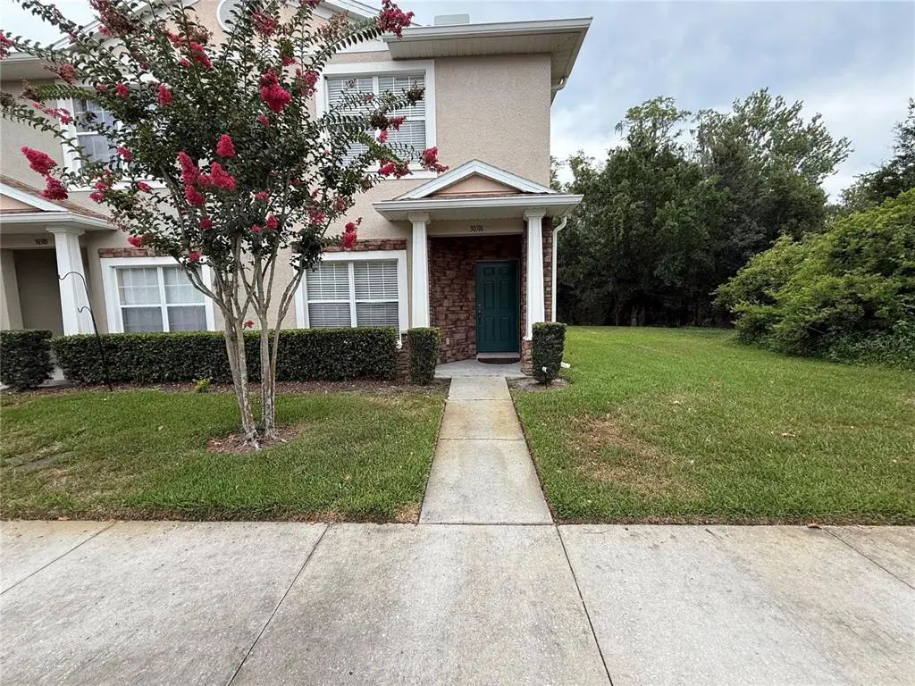 30316 Elderwood Drive, WESLEY CHAPEL