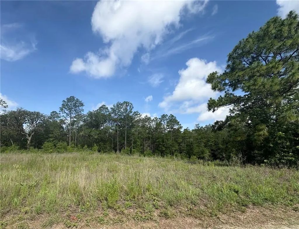 Tbd Sw 152 Court, OCALA