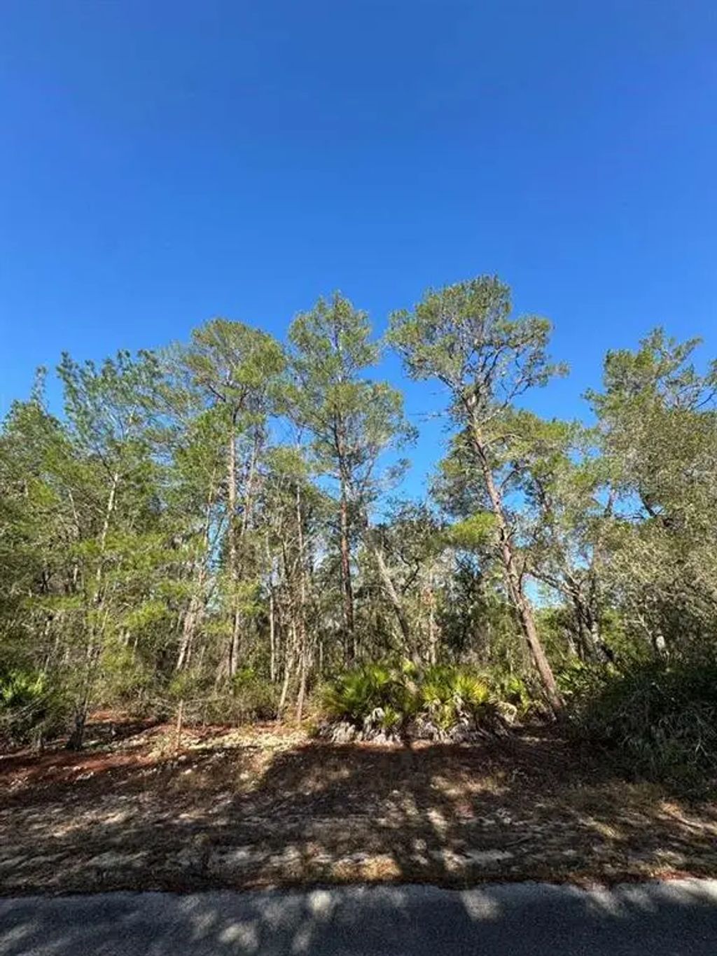 N/A, OCKLAWAHA
