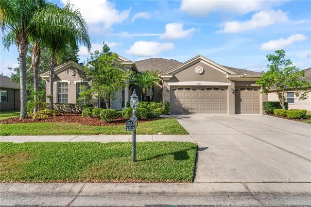 10517 Palm Cove Avenue, TAMPA
