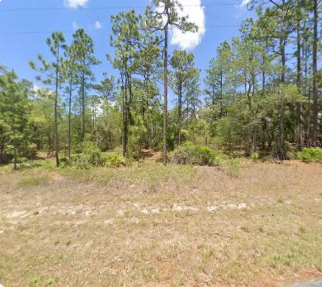 3271 W Montgomery Lane, CITRUS SPRINGS