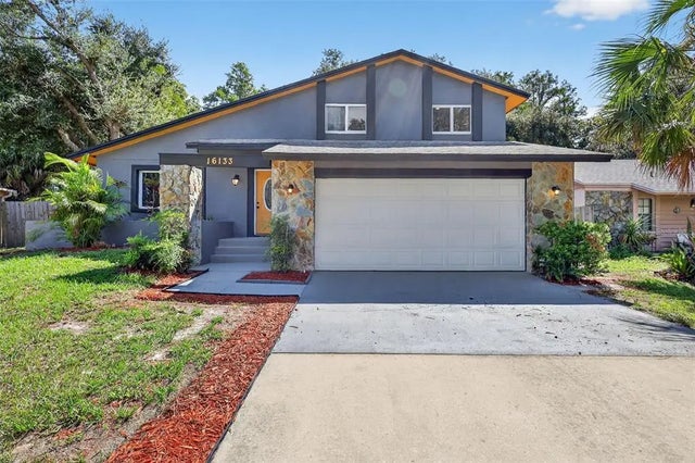 16133 Ravendale Drive, TAMPA