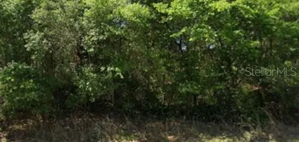 21540 Marine Boulevard, DUNNELLON