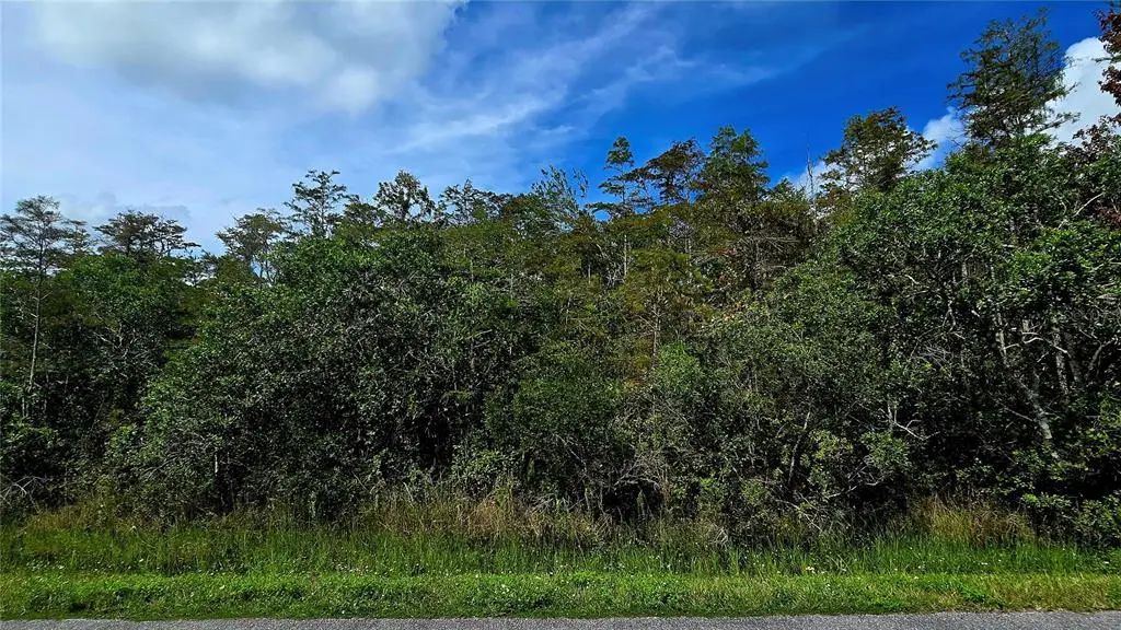 Pierre Avenue Lot 162, ST CLOUD