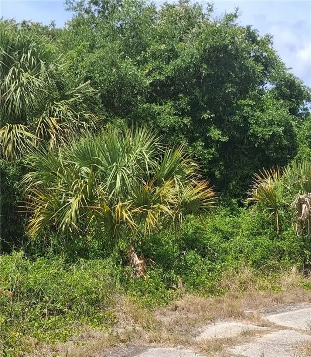 N Holloway Avenue, NORTH PORT