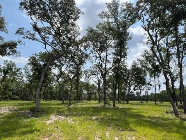 Tbd Nw 14th St. - Lot 6, OCALA