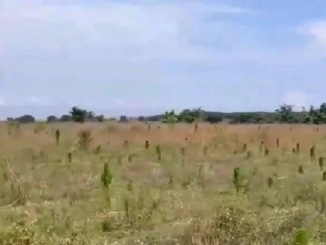 11214 129th Road, LIVE OAK