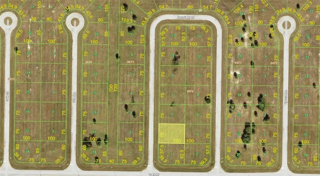 4 Longleaf Drive, PLACIDA