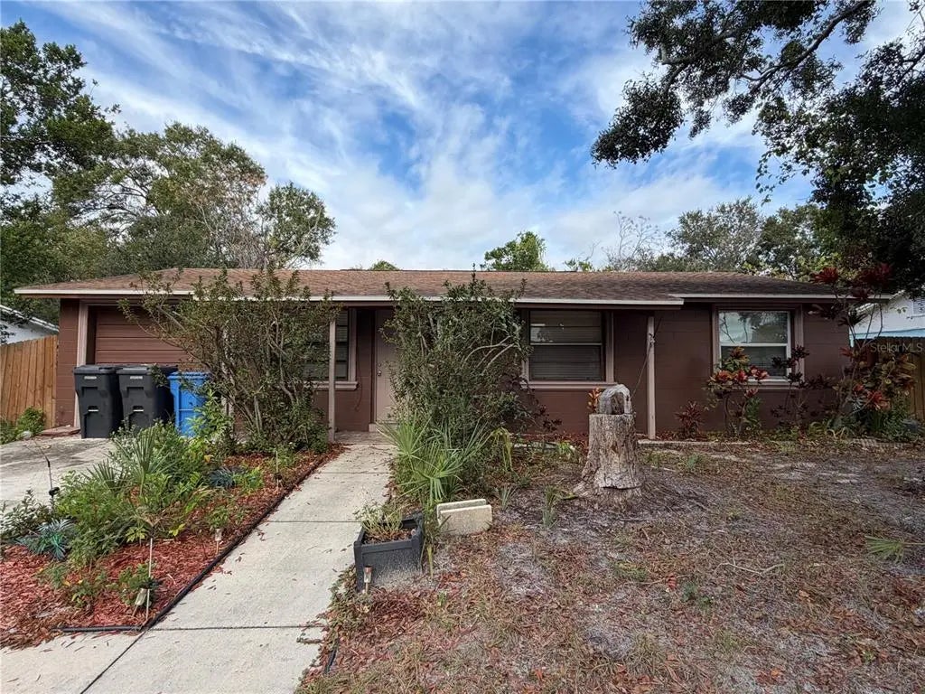 6513 Runningwoods Drive, TAMPA