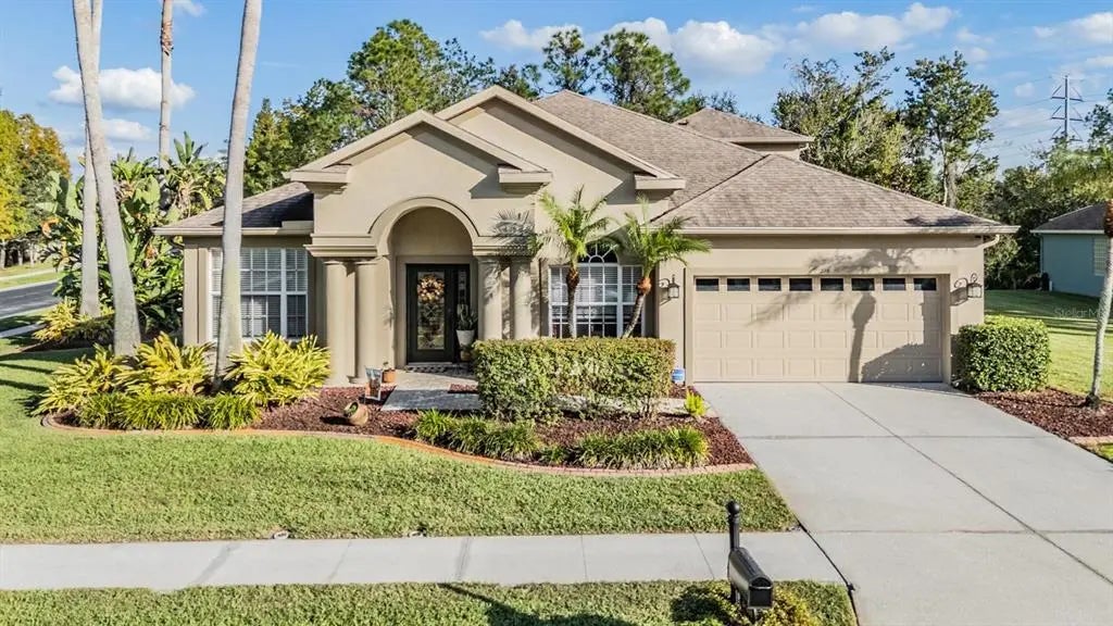 27239 Firebush Drive, WESLEY CHAPEL