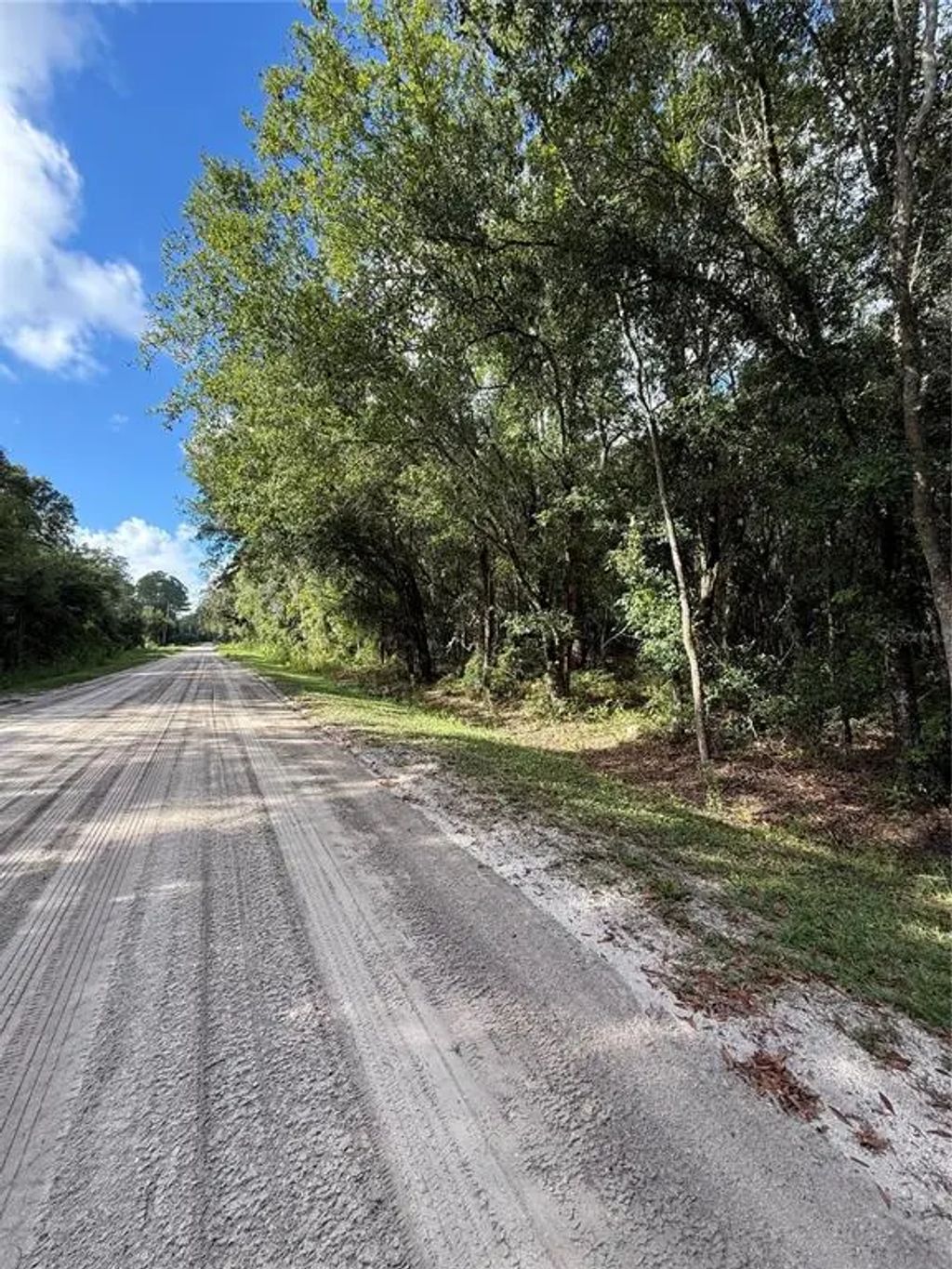 1166 Honeytree Street, BUNNELL