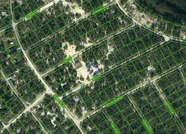 410 Tahiti Lane, LAKE PLACID