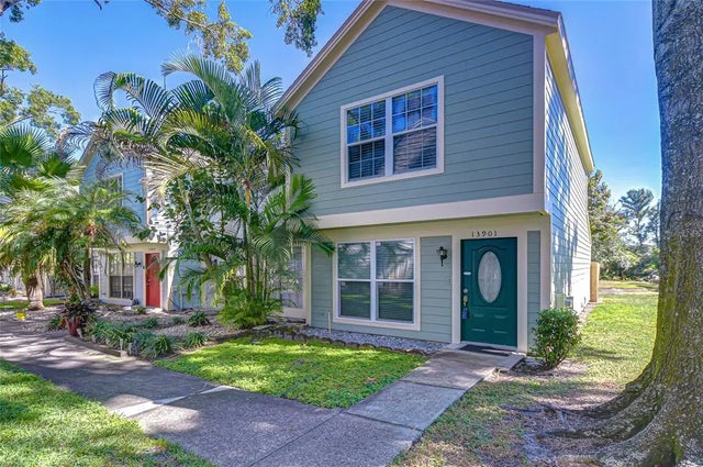 13901 Fletchers Mill Drive, TAMPA