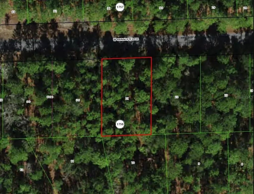 910 W Bannister Drive, CITRUS SPRINGS