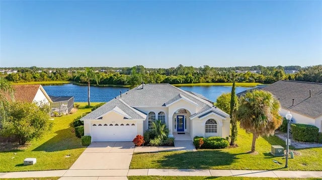 16313 Egret Hill Street, CLERMONT