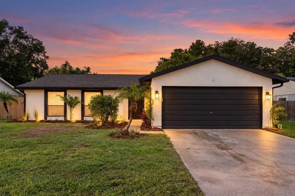 5308 Black Pine Drive, TAMPA
