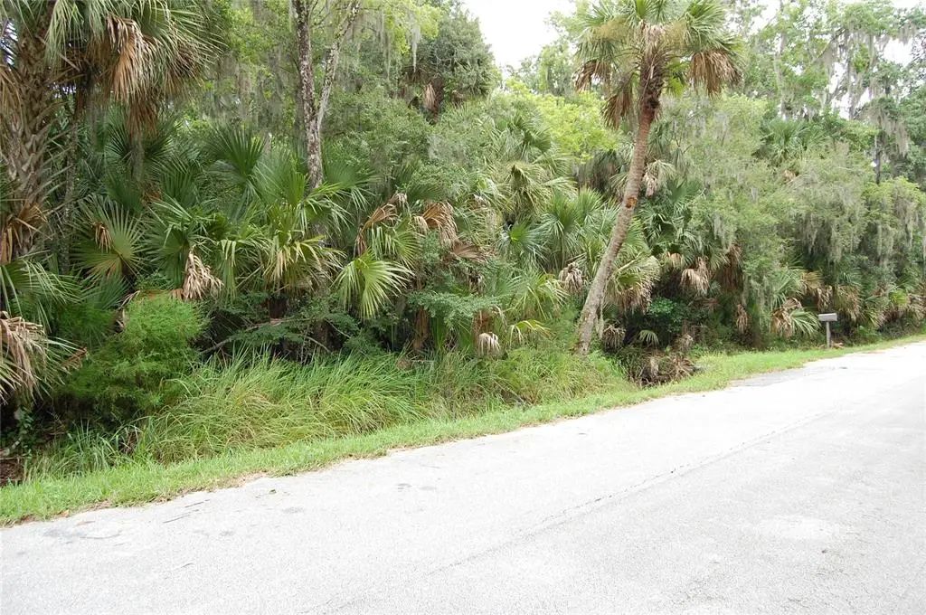 Palm Drive, NEW SMYRNA BEACH