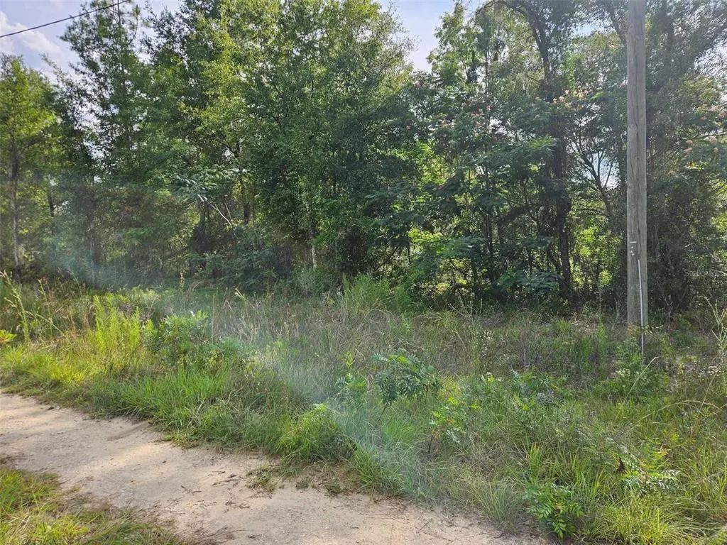 Tbd Ne 153rd Avenue, WILLISTON