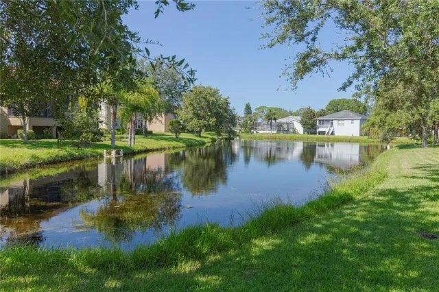 1134 S Pointe Alexis Drive, TARPON SPRINGS