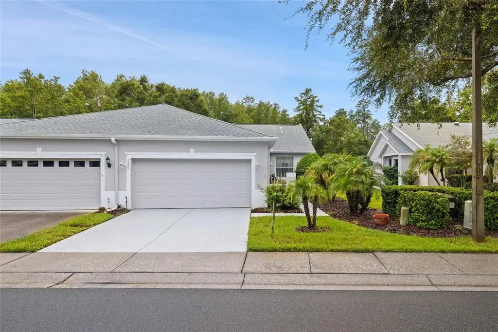 7245 Cleopatra Drive, LAND O LAKES