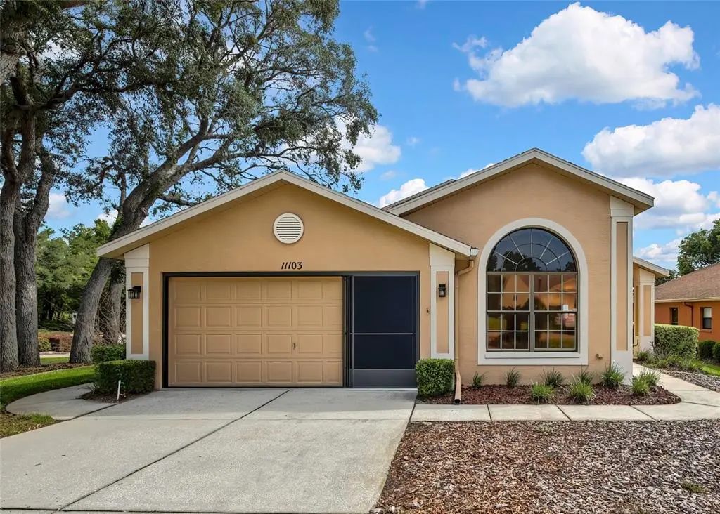 11103 Cherrywood Court, SPRING HILL