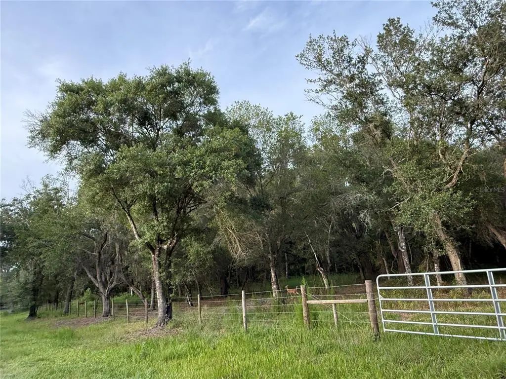 Se Brown Road, ARCADIA