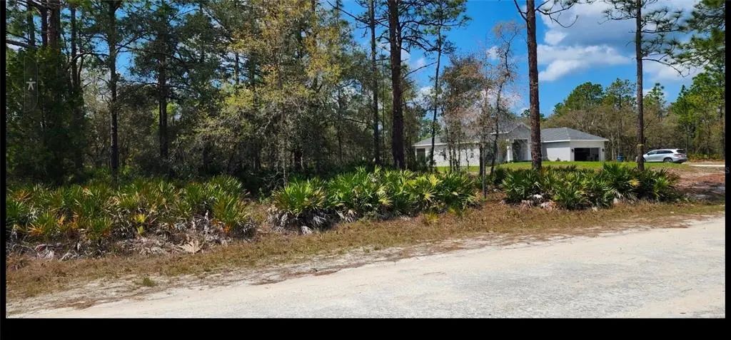 18099 Parakeet Road, BROOKSVILLE