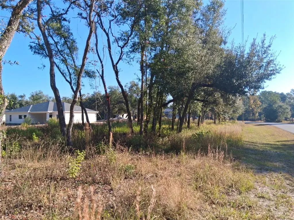 August Avenue, WEBSTER