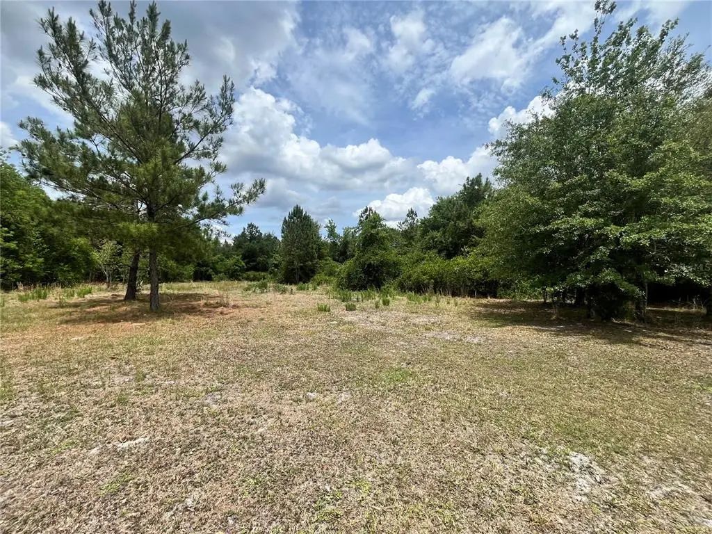Nw County Road 229, STARKE
