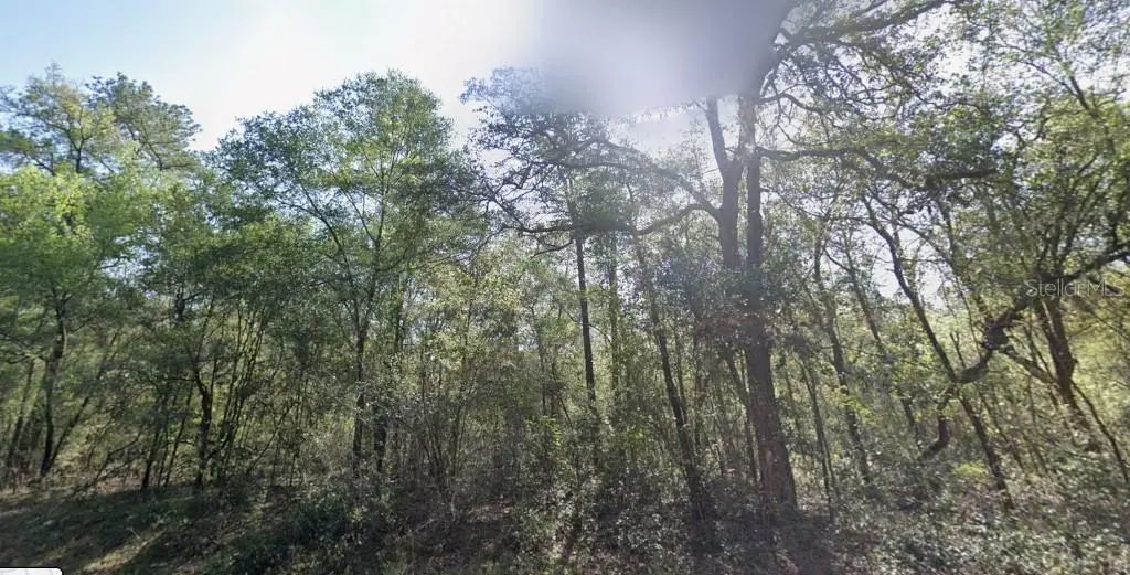 9333 N Kirkland Terrace, Dunnellon