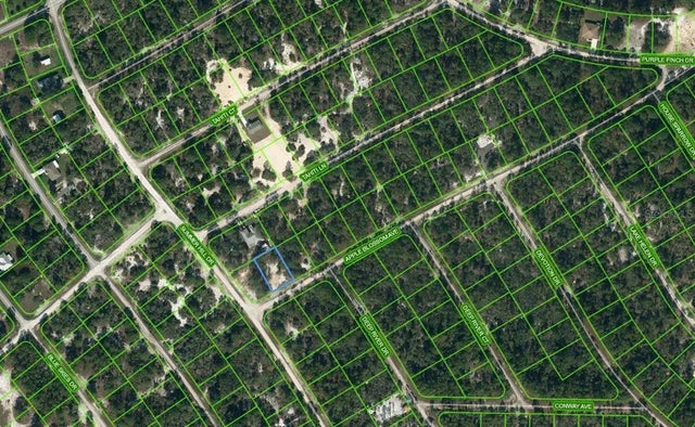 402 Apple Blossom Court, LAKE PLACID