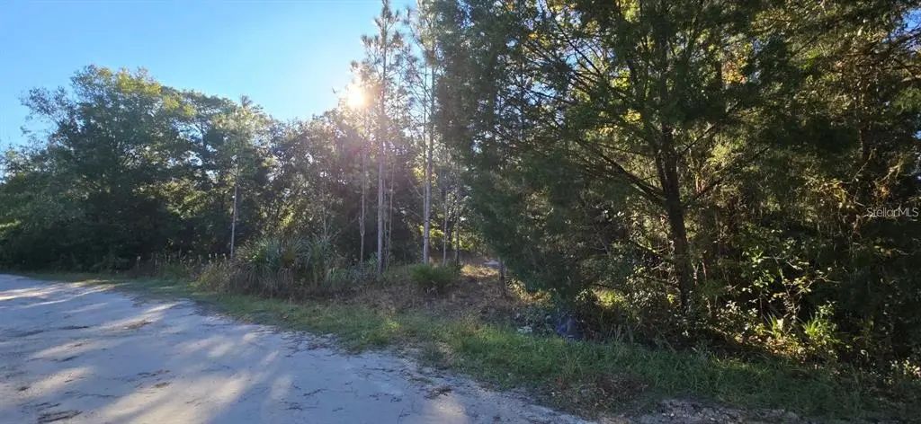 7784 W Twin Canal Lane, HOMOSASSA