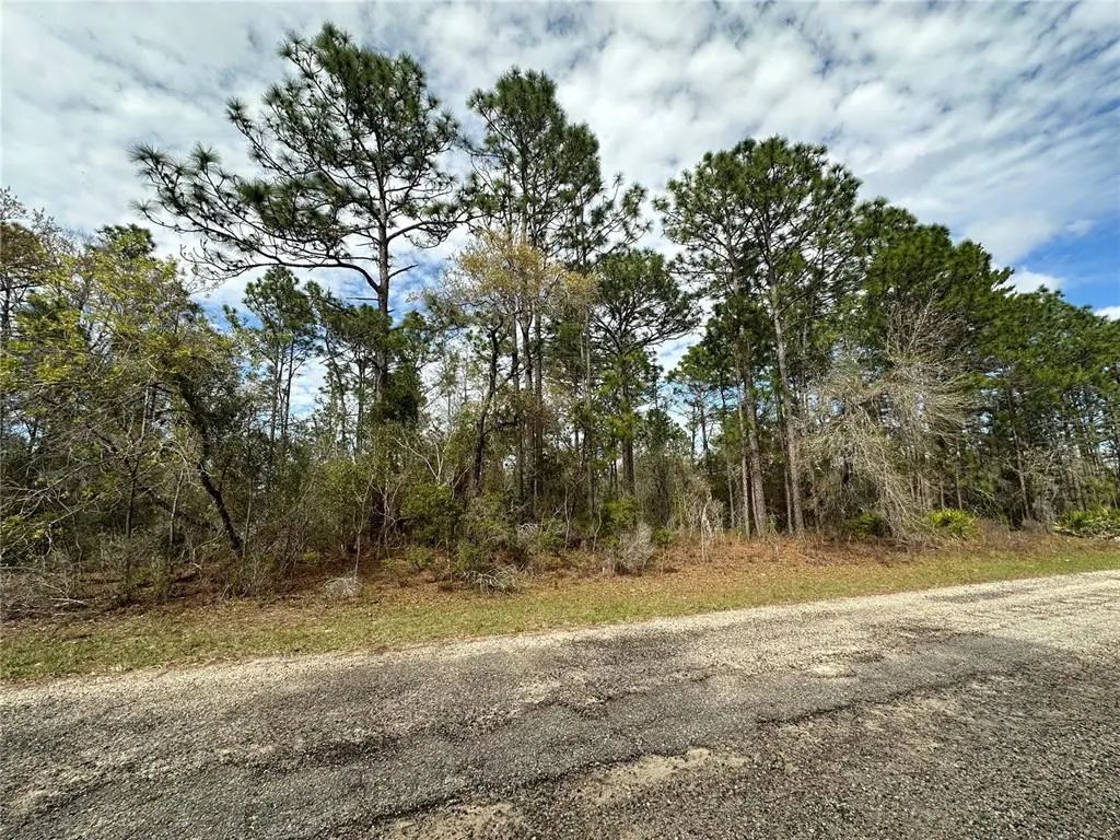 1639 W Pendleton Street, DUNNELLON