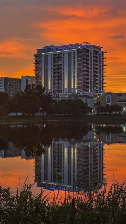 777 3rd Avenue N 1105, ST PETERSBURG