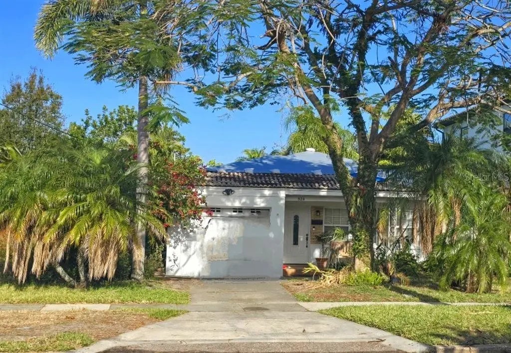 524 Suwanee Circle, TAMPA