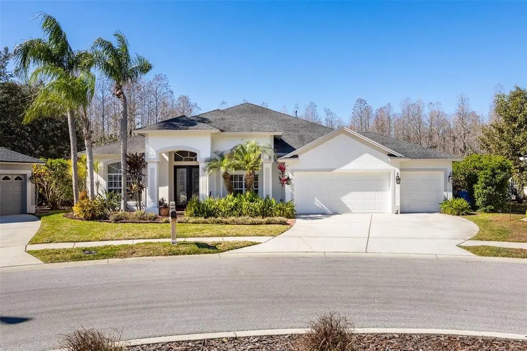 19817 Glazing Globe Lane, LUTZ