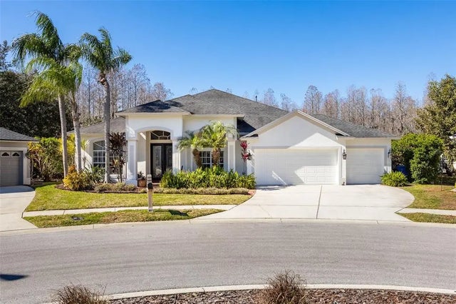 19817 Glazing Globe Lane, LUTZ