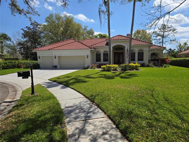 9127 Woodridge Run Drive, TAMPA
