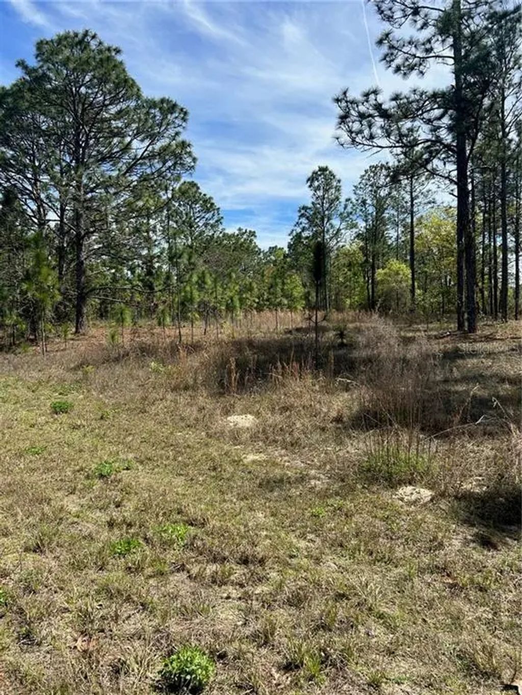 2032 W Corrine Street, Dunnellon