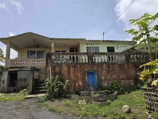 Pr-156 Km. 6.0 Parcel 49 Botijas 2 Ward, OROCOVIS