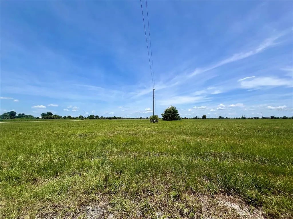 Photo of Listing #C7492586